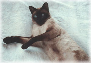 2��� roro Photo1