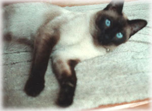 2��� roro Photo2